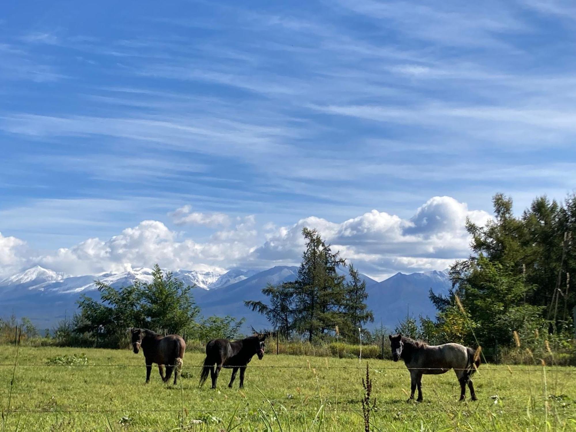 Pension Raclette Naka-furano Luaran gambar