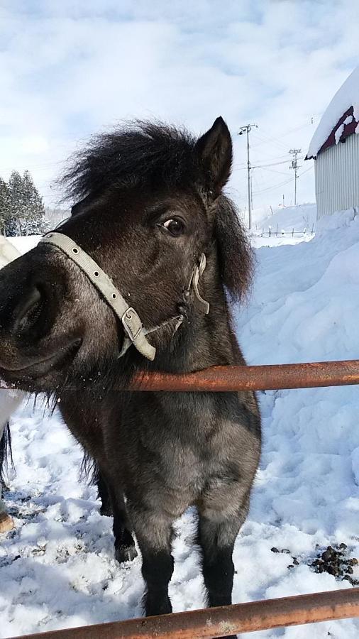 Pension Raclette Naka-furano Luaran gambar